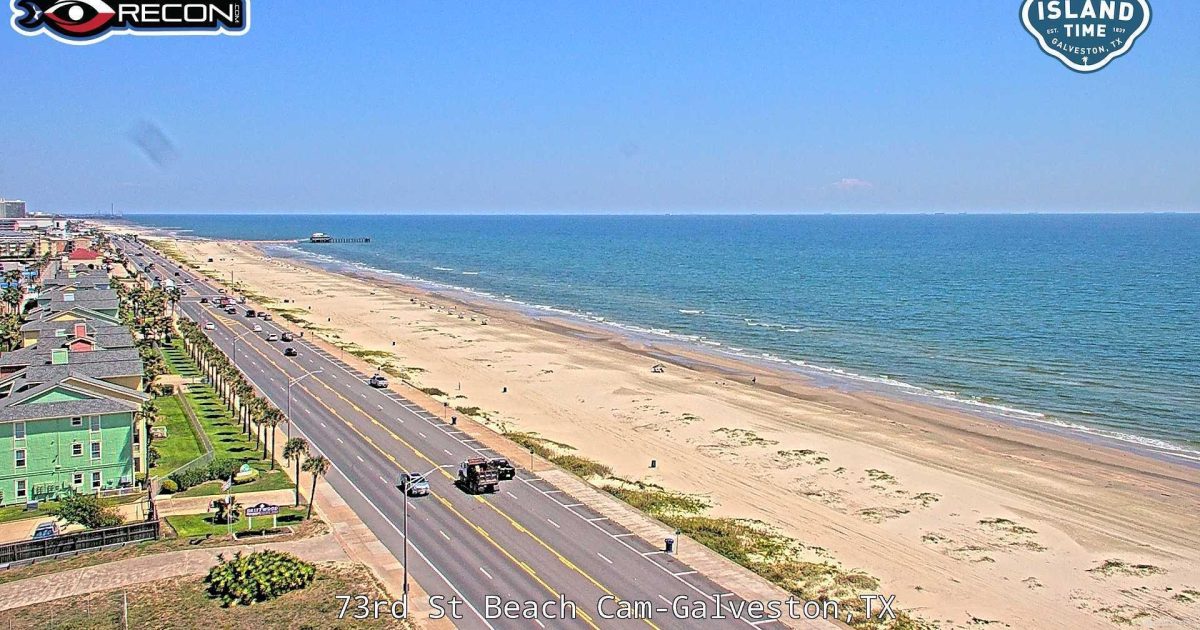 Live Oak, Texas visual data 5