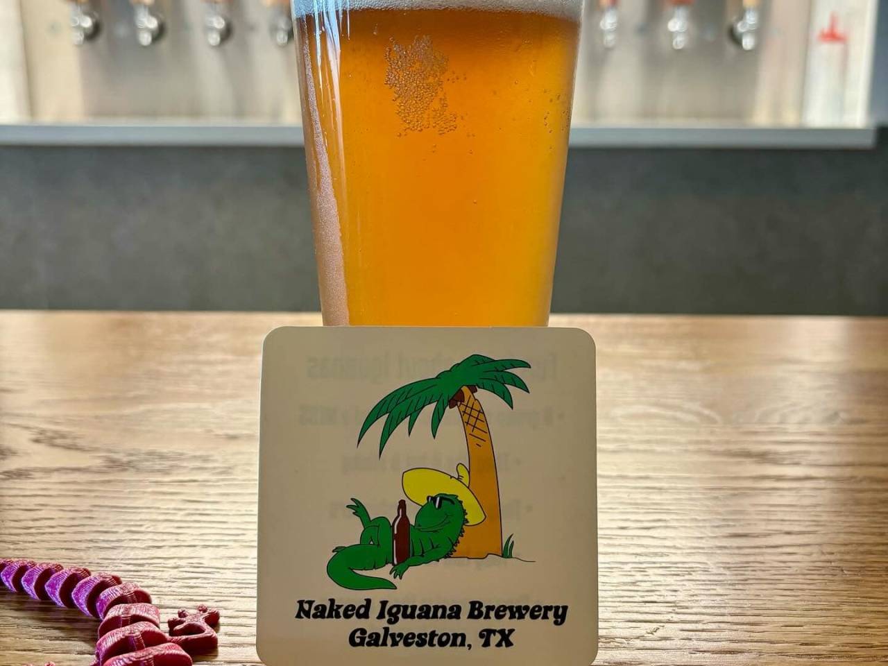 Naked Iguana Brewery