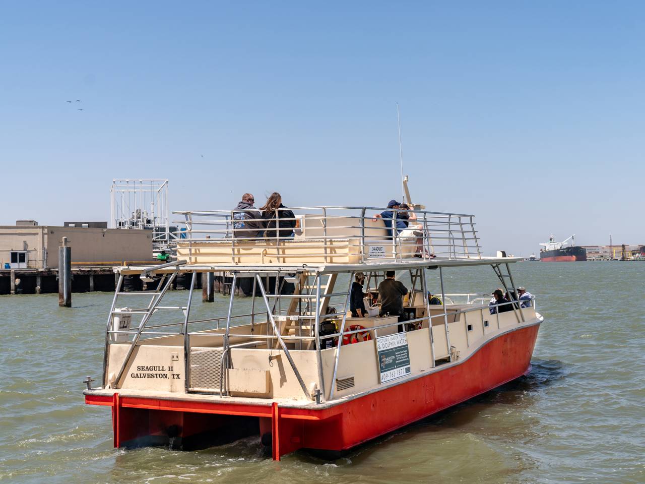 Galveston Harbor Tour and Dolphin Watch