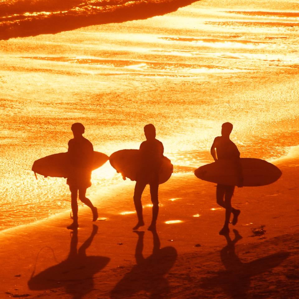 Surfers on beach sunset