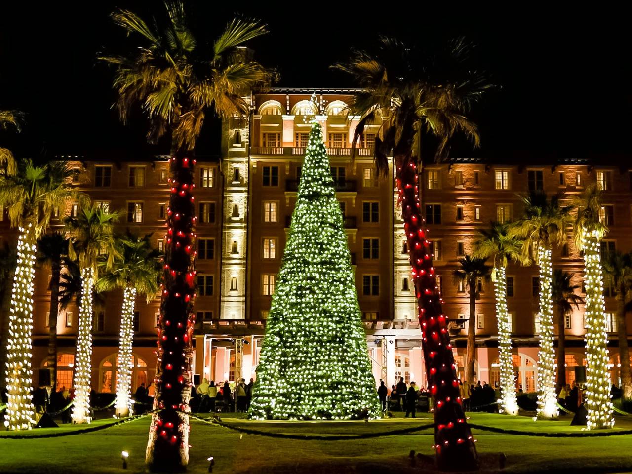 Christmas tree illuminated in hundreds of lights surrounded by palm trees wrapped in lights in front of the Grand Galvez