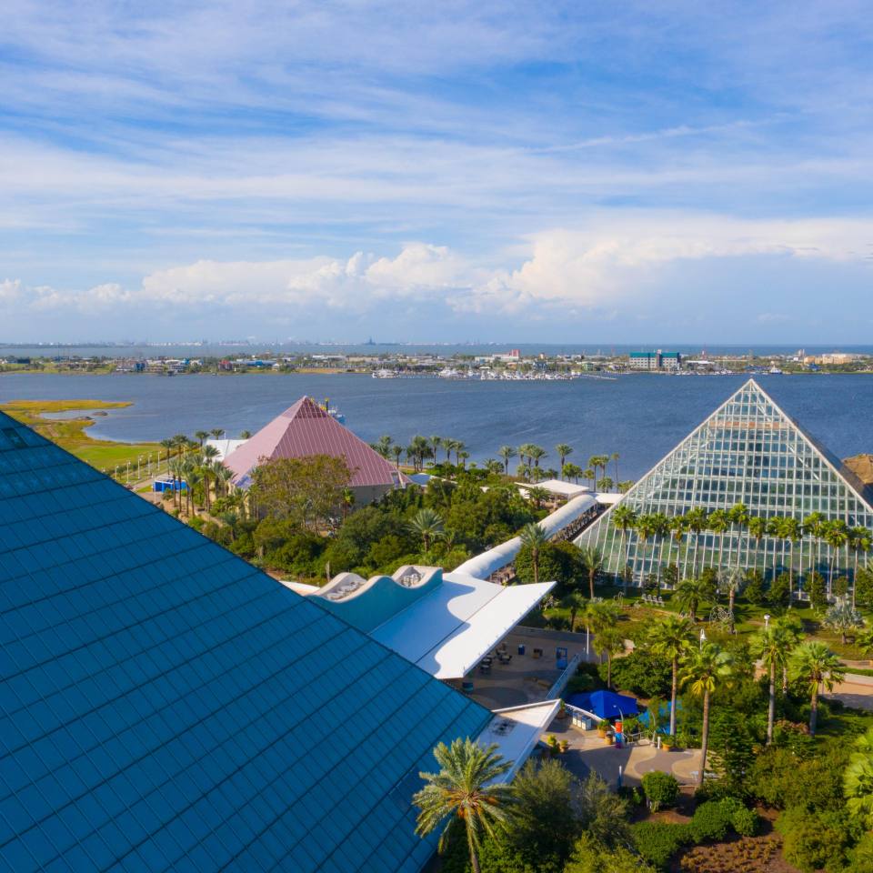 aerial view of three pyramids, one pink, one blue, and one clear, at Moody Gardens in Galveston, TX.